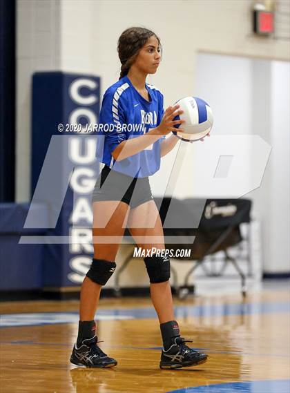 Thumbnail 3 in Newton vs Buna photogallery.
