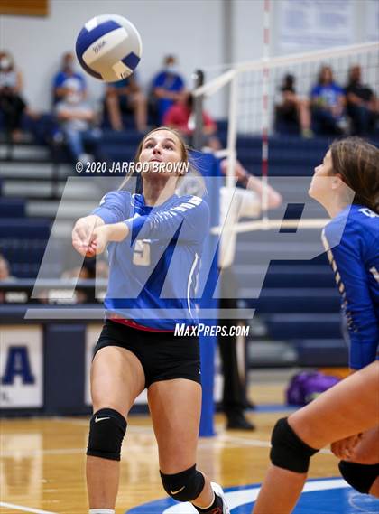 Thumbnail 1 in Newton vs Buna photogallery.