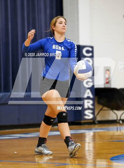 Thumbnail 2 in Newton vs Buna photogallery.