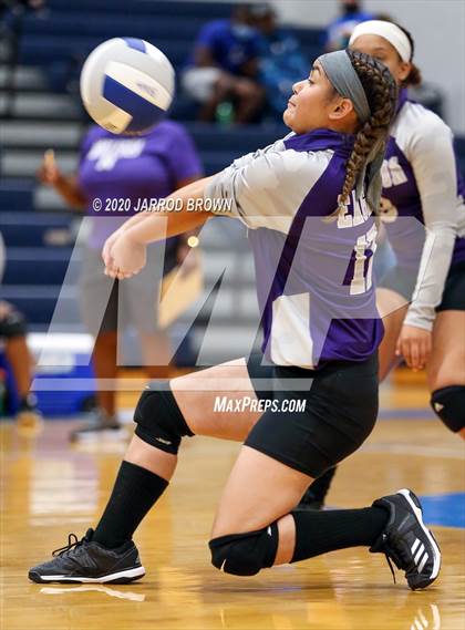 Thumbnail 2 in Newton vs Buna photogallery.