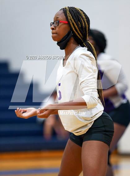 Thumbnail 1 in Newton vs Buna photogallery.