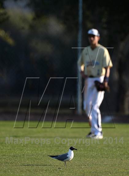 Thumbnail 3 in Clearwater Central Catholic @ Indian Rocks Christian photogallery.
