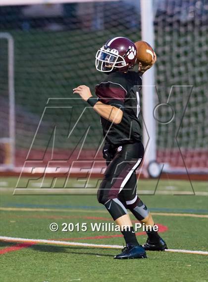Thumbnail 1 in Washingtonville @ Kingston photogallery.