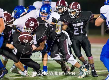 Thumbnail 3 in Washingtonville @ Kingston photogallery.