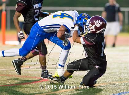 Thumbnail 3 in Washingtonville @ Kingston photogallery.