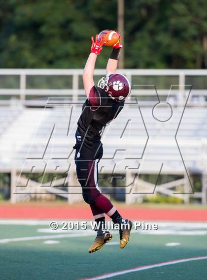 Thumbnail 1 in Washingtonville @ Kingston photogallery.