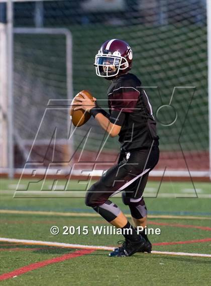 Thumbnail 3 in Washingtonville @ Kingston photogallery.