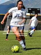 Photo from the gallery "Questa @ Taos JV"