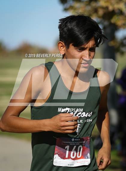 Thumbnail 3 in Golden League Finals photogallery.
