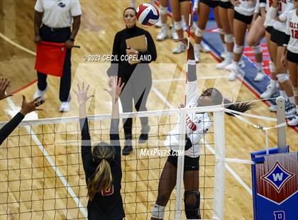 Thumbnail 3 in Walton vs. Lambert (GHSA 7A Quarterfinal State Volleyball Championship) photogallery.