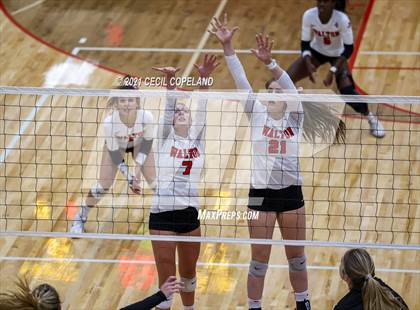 Thumbnail 3 in Walton vs. Lambert (GHSA 7A Quarterfinal State Volleyball Championship) photogallery.