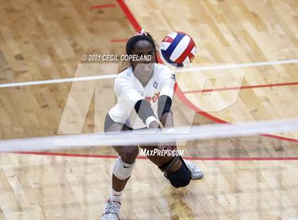 Thumbnail 3 in Walton vs. Lambert (GHSA 7A Quarterfinal State Volleyball Championship) photogallery.