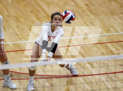 Thumbnail 2 in Walton vs. Lambert (GHSA 7A Quarterfinal State Volleyball Championship) photogallery.