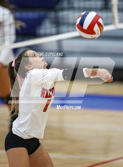 Thumbnail 2 in Walton vs. Lambert (GHSA 7A Quarterfinal State Volleyball Championship) photogallery.
