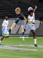 Photo from the gallery "Paetow @ Tompkins"