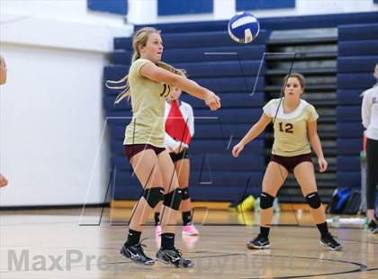 Thumbnail 3 in St. Augustine @ Bartram Trail photogallery.