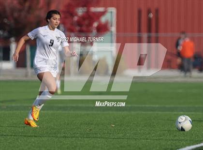 Thumbnail 1 in Vallivue vs Sandpoint (IHSAA 4A State Playoff)  photogallery.