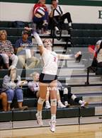 Photo from the gallery "Pocatello vs. Springville"