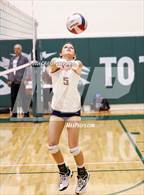 Photo from the gallery "Pocatello vs. Springville"