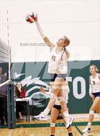 Photo from the gallery "Pocatello vs. Springville"