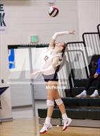 Photo from the gallery "Pocatello vs. Springville"