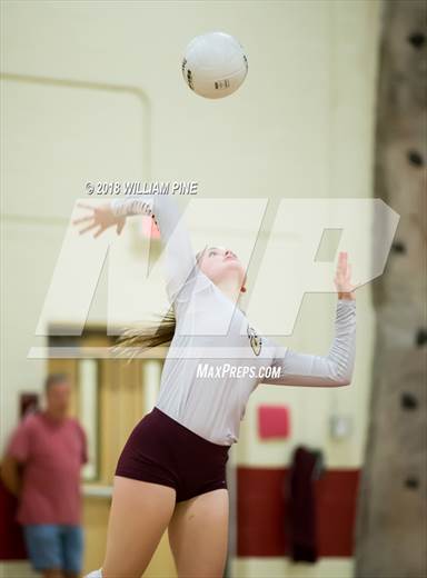 null - Photo 41