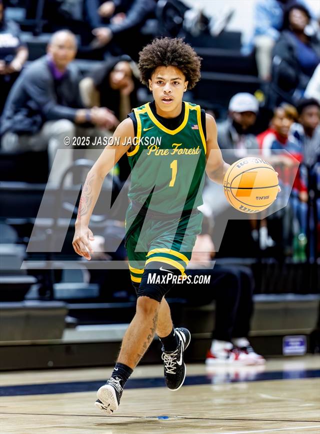 Pine Forest @ Cape Fear