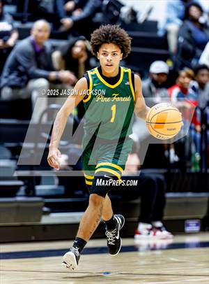 Pine Forest @ Cape Fear