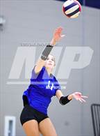 Photo from the gallery "Page @ Siegel"