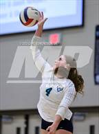 Photo from the gallery "Page @ Siegel"