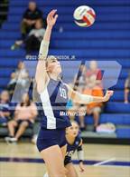 Photo from the gallery "Page @ Siegel"