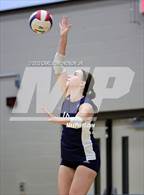 Photo from the gallery "Page @ Siegel"