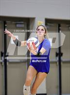 Photo from the gallery "Page @ Siegel"