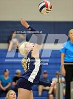 Photo from the gallery "Page @ Siegel"