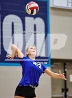 Photo from the gallery "Page @ Siegel"