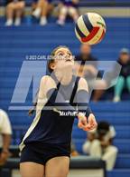 Photo from the gallery "Page @ Siegel"