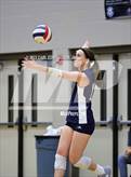 Photo from the gallery "Page @ Siegel"