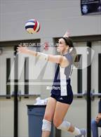 Photo from the gallery "Page @ Siegel"
