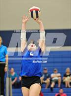 Photo from the gallery "Page @ Siegel"