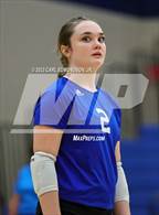 Photo from the gallery "Page @ Siegel"
