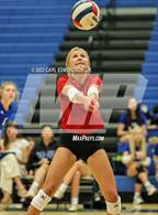Photo from the gallery "Page @ Siegel"