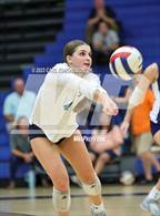 Photo from the gallery "Page @ Siegel"
