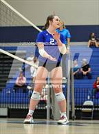 Photo from the gallery "Page @ Siegel"