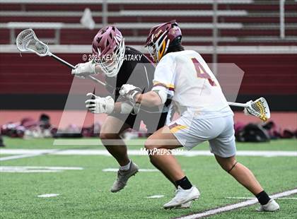 Thumbnail 2 in North Haven @ Sheehan photogallery.