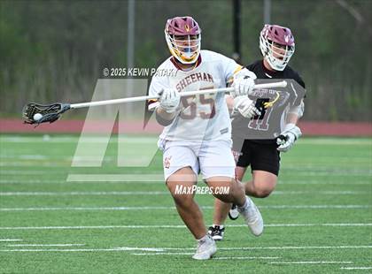 Thumbnail 1 in North Haven @ Sheehan photogallery.