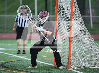 Thumbnail 1 in North Haven @ Sheehan photogallery.