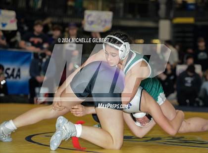 Thumbnail 2 in NYSPHSAA Invitational (Finals) photogallery.