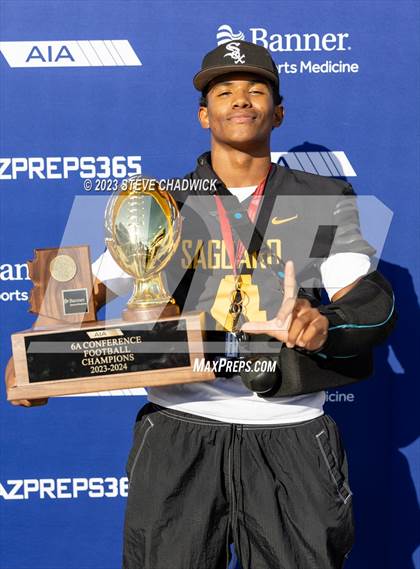 Thumbnail 1 in Red Mountain vs Saguaro (AIA 6A Awards) photogallery.