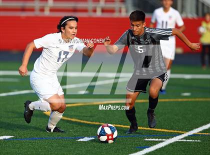 Thumbnail 3 in Buffalo Grove @ Barrington  photogallery.
