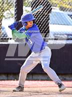 Photo from the gallery "San Domenico @ University"